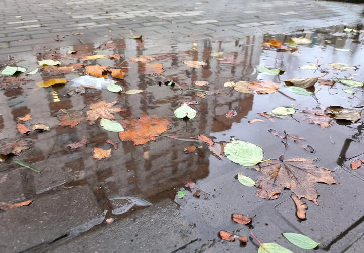 Осень берёт своё: какая погода будет в Краснодарском крае ближайшие 30 дней