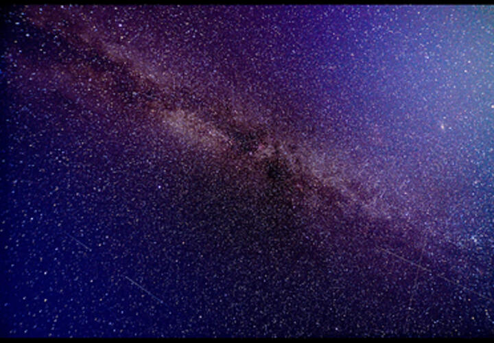 Овнам следует проявить гостеприимство, а у Львов будет насыщенный день