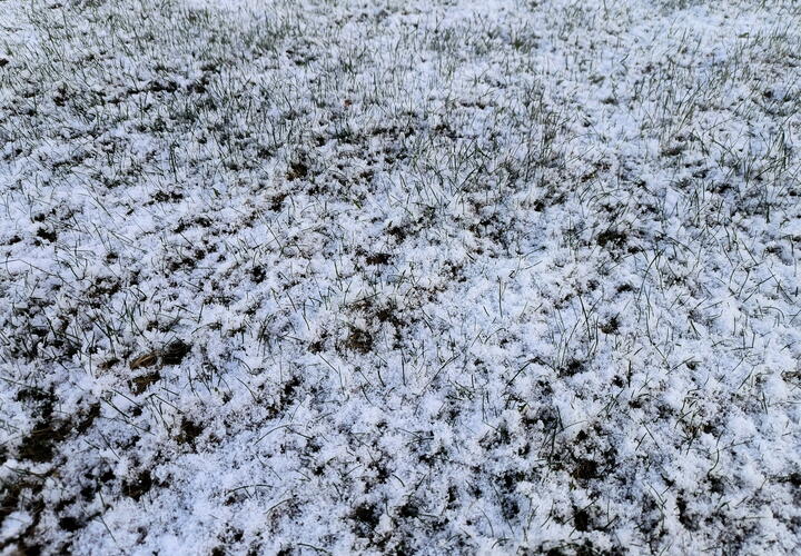 Синоптики предупреждают о непогоде и сильном ветре