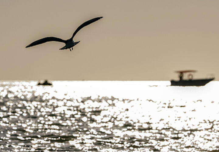 По всему Краснодарскому краю объявлена беспилотная опасность, эвакуируют пляжи