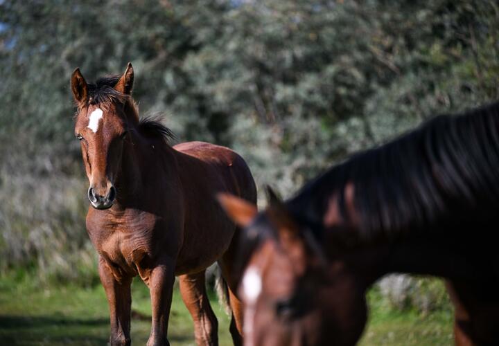 Пойдёт снег: о погоде в Краснодарском крае сегодня, 26 сентября 