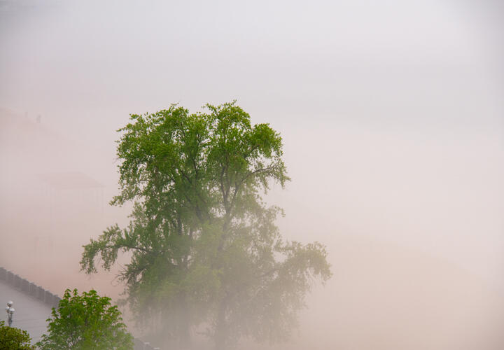 Мы собрали для вас новости, которые обязательно надо обсудить с коллегами, друзьями или родственниками 