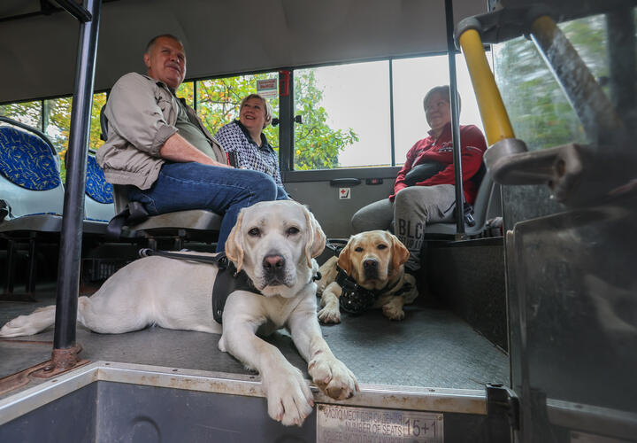 Проезд подорожает с 5 октября в Новороссийске