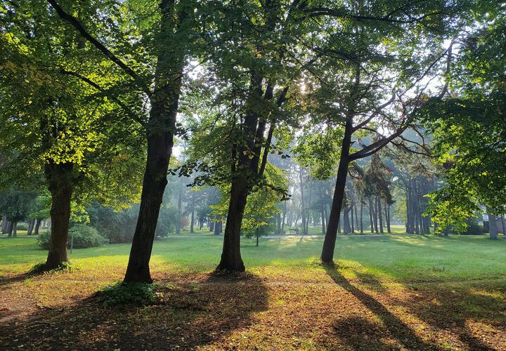 Осень пока радует теплом