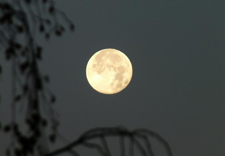 Гороскоп на 25 сентября для всех знаков зодиака от «Живой Кубани»