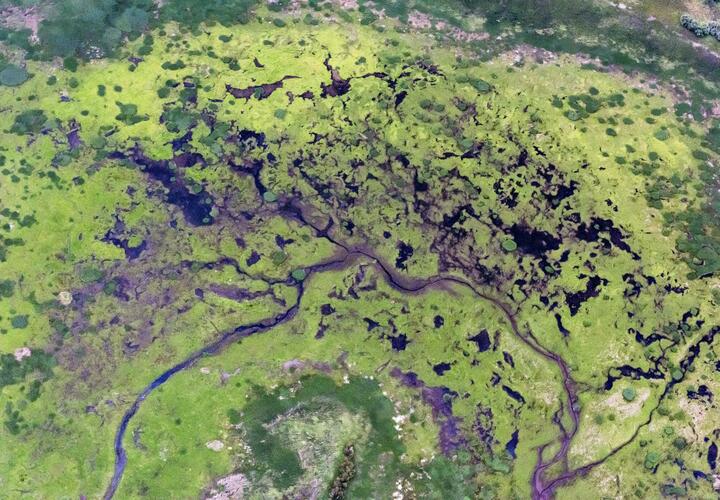 Сибиряк искал металлолом в лесу, но раскопал шахту ядерной ракеты