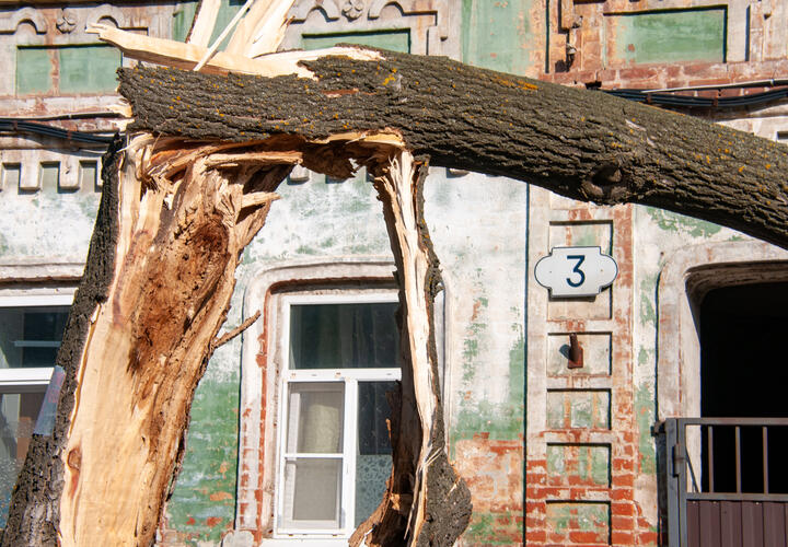 Сильный ветер будет свирепствовать ближайшие дни на Кубани: рассказываем, каким городам пора готовиться ко встрече со стихией