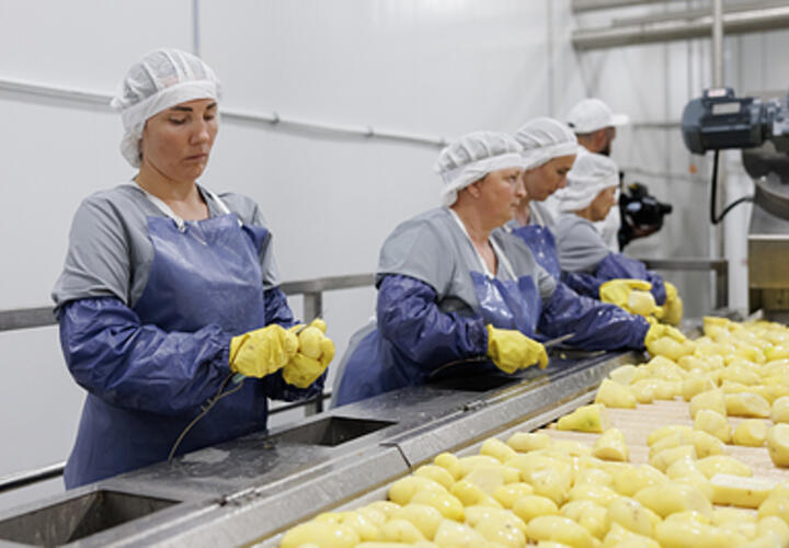 Специалисты рассказали, какой картофель наиболее полезен