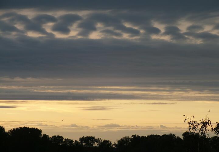 Мы собрали для вас новости, которые обязательно надо обсудить с коллегами, друзьями или родственниками 