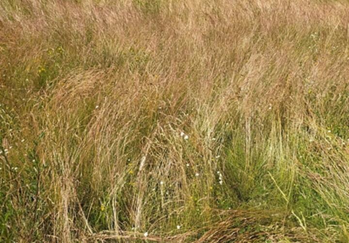 Преступник хотел убить несколько человек