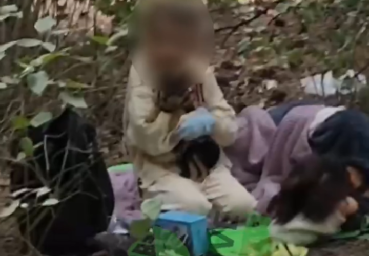 В Краснодаре на улице обнаружили маленькую девочку с носками на руках, она сидела рядом со спящей женщиной