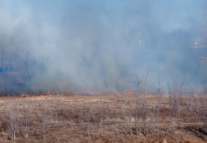 Пока справится с огнем не удалось 