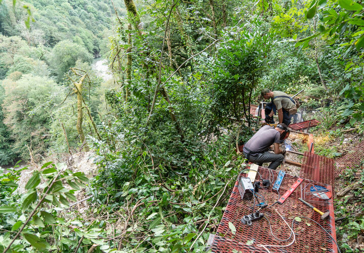 В сочинской Тисо-самшитовой роще  обновляют тропу на Большом кольце