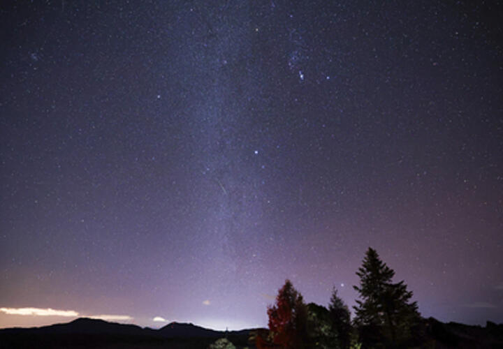 Весов поддержат старые друзья, Козерогам поступят интересные предложения