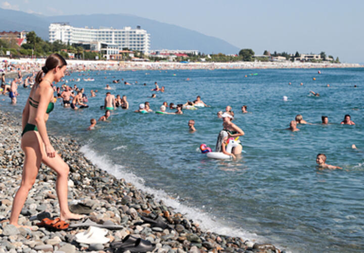 Вклад туристической отрасли в ВРП Кубани достиг почти 8 процентов