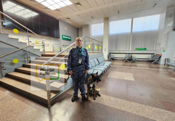 Вновь открывшийся терминал и первые пассажиры в аэропорту Краснодара: работать помогают четвероногие
