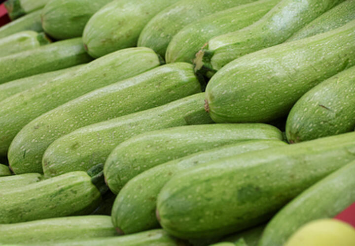 Врач рассказала о полезных свойствах кабачков