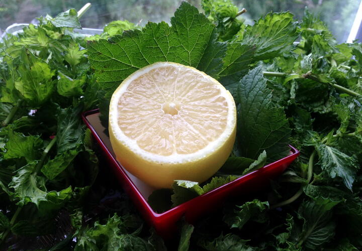 5 витаминов, особенно необходимых осенью