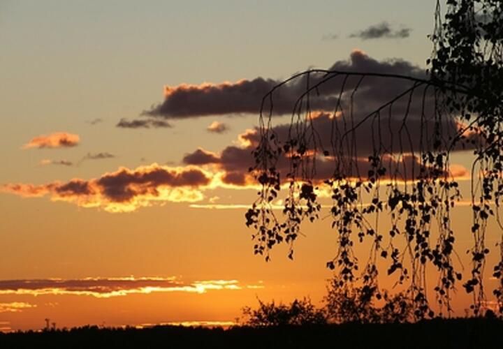 Более 40 человек пострадали от отравления едой, из-за атаки БПЛА начался пожар на газзаводе: что произошло, пока вы спали