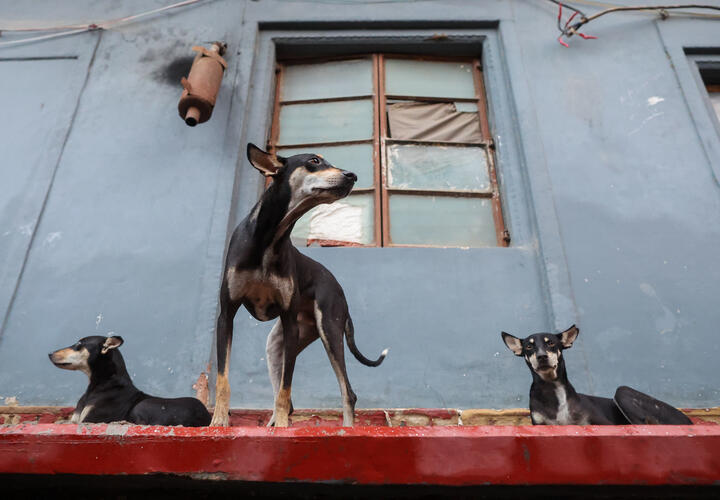 Драма произошла на улице Айвазовского