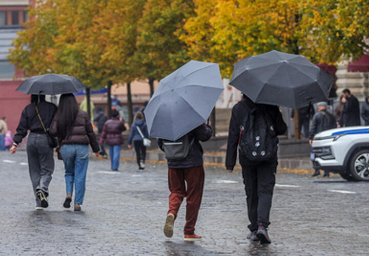 Дожди и ухудшение видимости: о погоде на Кубани 12 октября