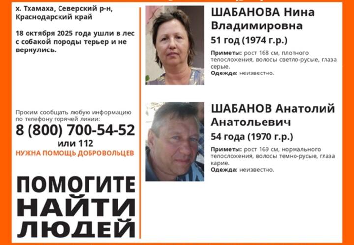 Отряд «Лиза Алерт» объявил поиск