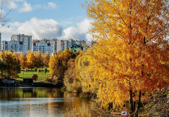 Рейтинг наиболее популярных материалов «Живой Кубани» за сегодня