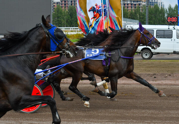 Жители написали письма Путину и Кадырову