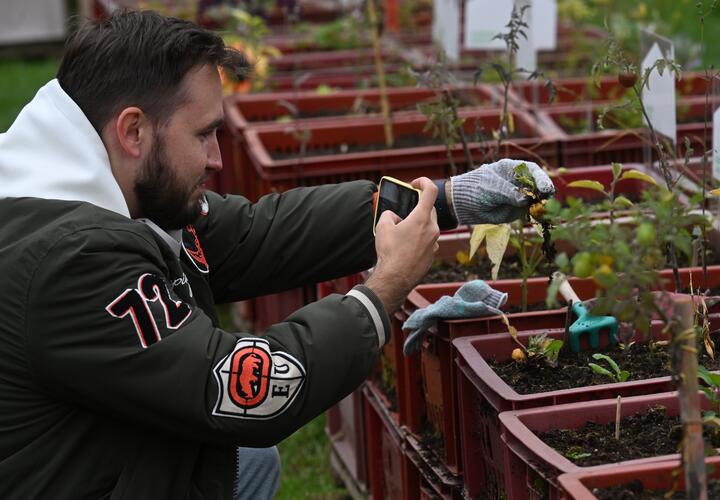 Несколько простых шагов, которые помогут сохранить землю плодородной