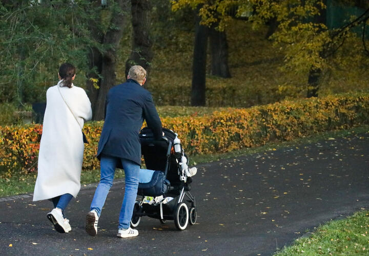 Дожди отступили 