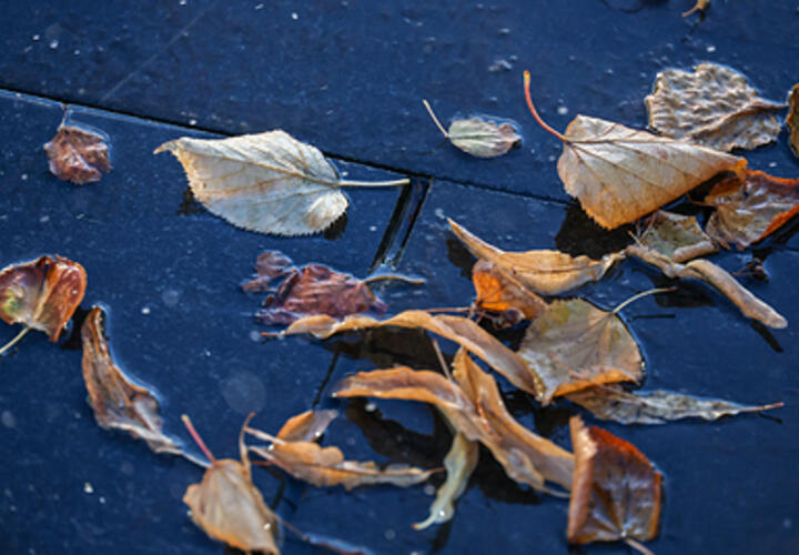 Какая погода ожидается на Кубани 1 октября, рассказали синоптики