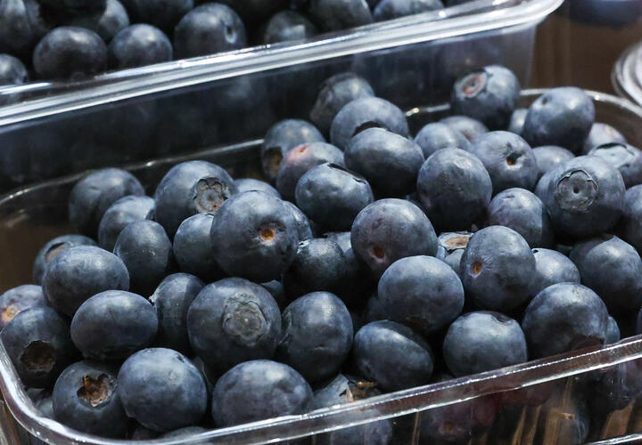 От черники до баклажанов — что содержится в ярких продуктах и как они помогают организму