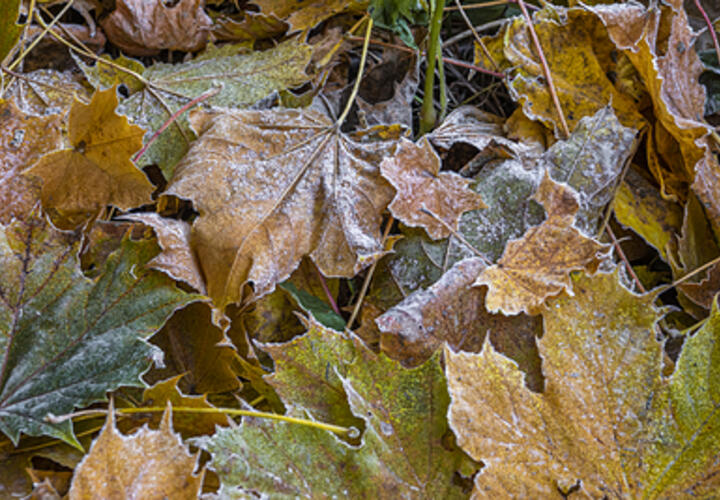 Какой будет погода 13 октября в Краснодарском крае, рассказали синоптики
