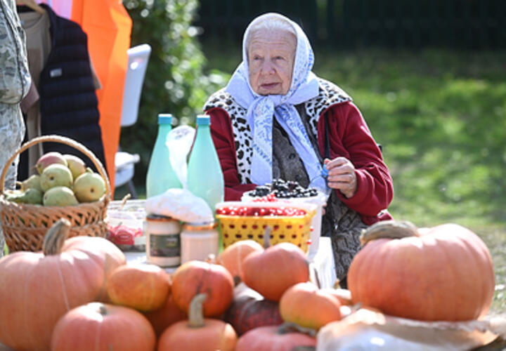 Хэллоуин или Тыквенный спас: запрещен ли праздник в РФ и отмечают ли его на Кубани