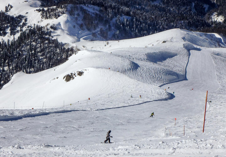 Косенко, известный своим скандальным видео из Сочи, вновь оказался в центре внимания правоохранительных органов