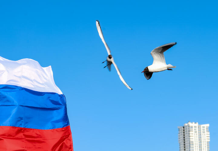 С 1 по 4 ноября в городе пройдут десятки праздничных мероприятий