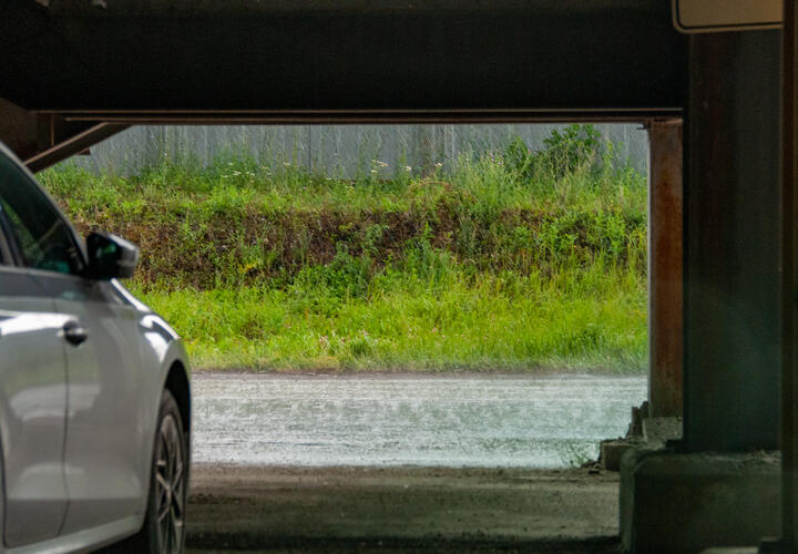 Кубань и Ростов уйдут под воду: учёные рассказали, что ждёт прибрежные регионы в ближайшие десятилетия