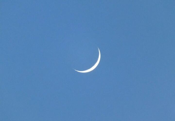 Гороскоп на 26 октября для всех знаков зодиака от «Живой Кубани»