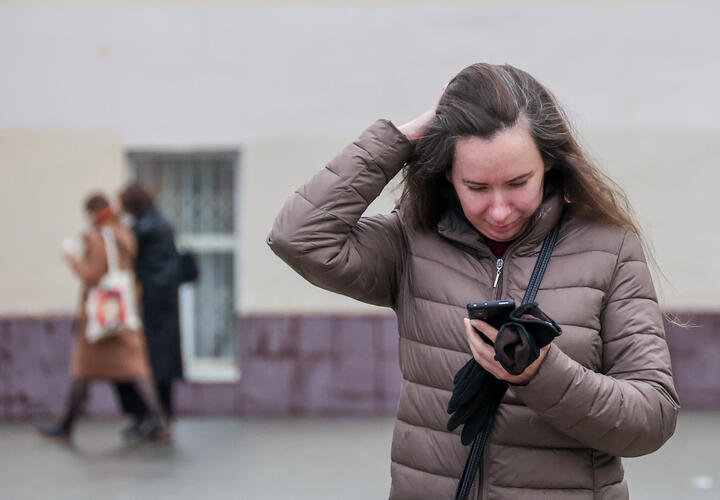 Рейтинг наиболее популярных материалов «Живой Кубани» за сегодня