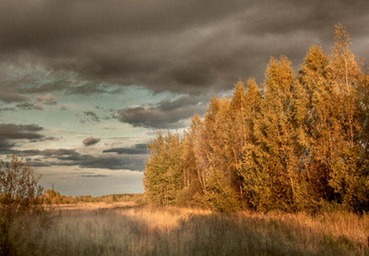 На Кубани ожидаются дожди и грозы 19 октября