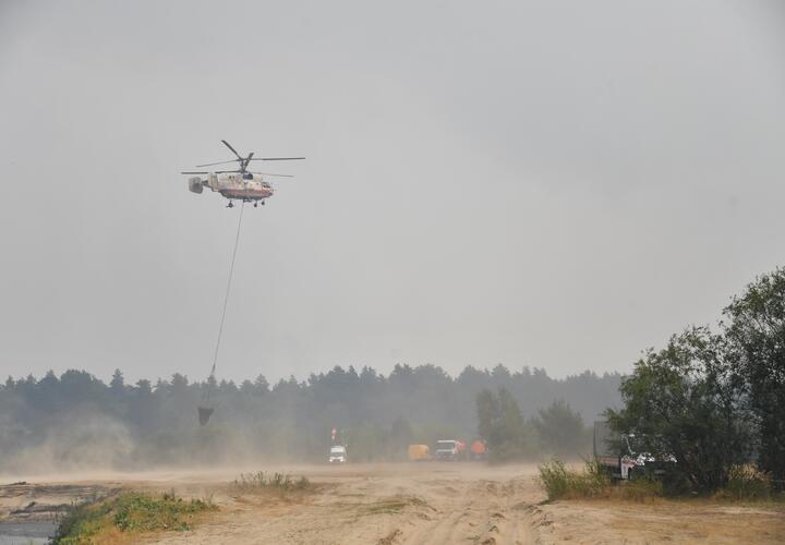 На Кубани семейная пара отправилась за грибами в лес и пропала. Их обнаружили с вертолёта
