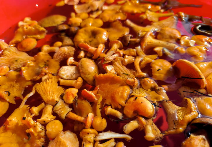 Простые продукты, о которых многие забывают