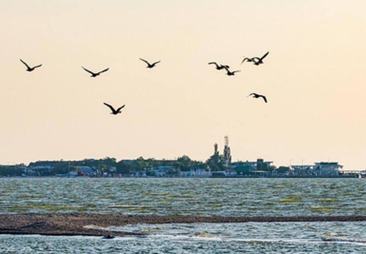 Обнаружены уникальные механизмы восстановления Азовского моря