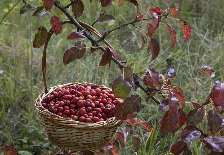 Мы собрали список продуктов, которые помогут восстановить баланс