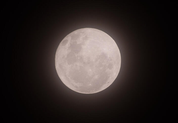 Овнам не стоит начинать новые дела, а Весы справятся со сложностями в работе