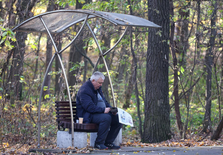 Рейтинг наиболее популярных материалов «Живой Кубани» за сегодня