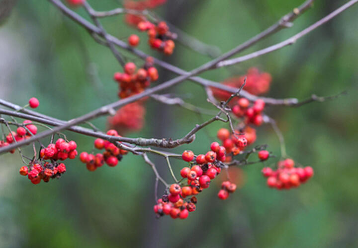 Погода на Кубани налаживается