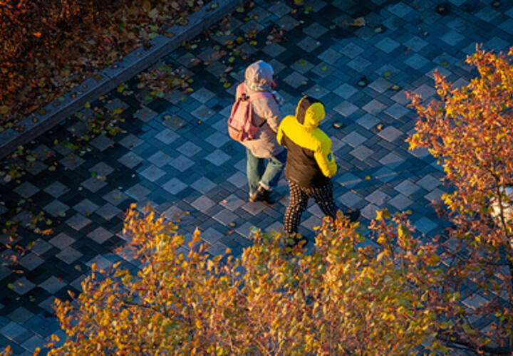 Погода на неделю с 13 по 19 октября в Краснодарском крае