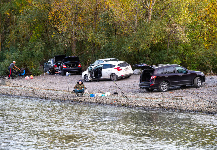 Пошёл купаться, а обратно выбраться не смог: в реке Дон утонул человек