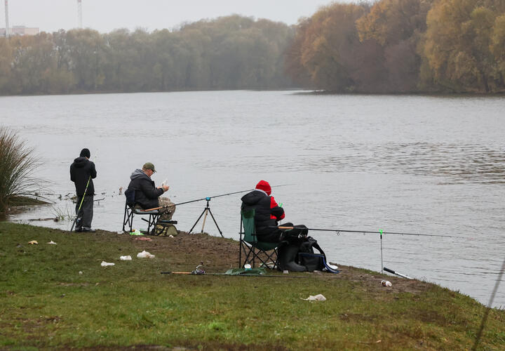 Психологи объяснили, как такие привычки помогают справляться со стрессом
